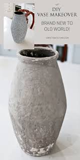 Diy Plaster Vase Makeover Brand New To Old World Style Diy Plaster Diy Vase Vase