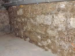 It's important to understand that finding mold in your basement is a consequence of some type of water damage to that area. Signs Mold May Be Growing In Your Basement Mould Removal