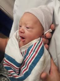 We have some special guests visiting the Olive Branch Old Towne Farmers  Market tomorrow! Come visit