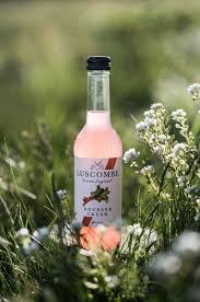 Delicieusement Rafraichissant Moins De 60 Calories Par Verre Boisson Bio Jus De Fruit Boisson