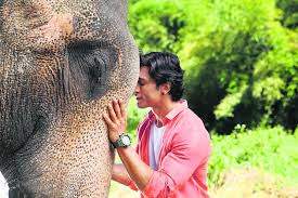 Nonton film junglee (2019) subtitle indonesia. A Stunted Actioner