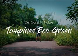 With various natural habitats such as open grasslands, freshwater wetlands and a secondary rainforest, the park is a haven for biodiversity and a great place for visitors to enjoy the best of nature. Antolin And Cha Get Closer To Nature Tampines Eco Green Singapore Full Video Here Http Bit Ly Ecogreensingapore Facebook