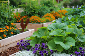 Late winter is the perfect time to plan your vegetable garden. Vegetable Gardening In A Small Space