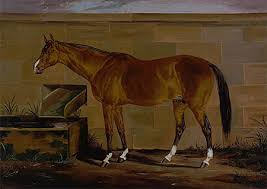 We take care to remember famous people from history, but sometimes the famous animals that lived and worked alongside them go unnoticed. Famous Horses Smithsonian Institution