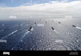 Image result for Gray 1971 Fleet