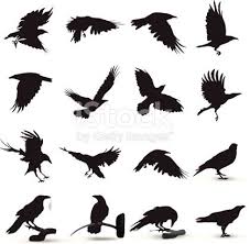 Raven Silhouette Raven Tattoo Bird Silhouette Silhouette Tattoos