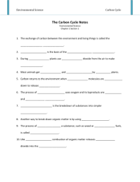 Carbon Cycle Homework Answer Key Carbon Cycle Homework Answer Keys