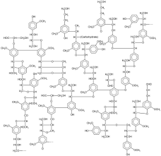 Plant cell on wn network delivers the latest videos and editable pages for news & events, including entertainment, music, sports, science and more this chemical signal activates a layer of specialized abscission cells between the leaf and the stem. Lignin Meaning In Tamil