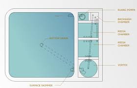 Bagi pecinta binatang air, memikirkan desain kolam tentu menjadi hal utama yang wajib dilakukan. Kabar Terbaru Sketsa Filter Bak Ikan Koi Kabarterbaru Co