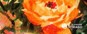 Sichtschutzzaune kunststoff aus polen monia top. Latest Updates From Zaun Aus Glas Facebook