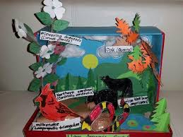 Biome In A Box Diorama Of Deciduous Forest Biomes Project Ecosystems Diorama Ecosystems Projects