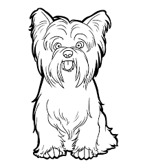 Our huge coloring sheets archive currently. Yorkie Coloring Pages Best Coloring Pages For Kids