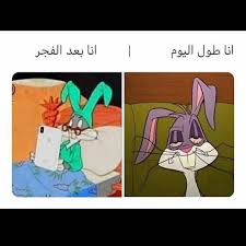 909 Likes 25 Comments الفيلسوف Alfaylasof Dz On Instagram ادعوكم للاستم Fun Quotes Funny Funny Picture Quotes Funny Picture Jokes