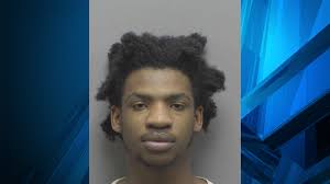 Charlotte man, 20, charged in Lincoln Co. break-ins