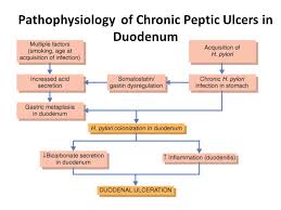 Gastrointestinal Block Pathology Lecture Nov Ppt Video