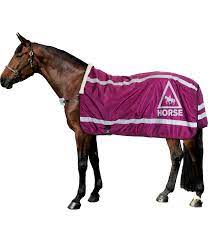 Um ihnen zuhause die produktauswahl wenigstens etwas abzunehmen, hat unser testerteam schließlich den finden sieger ausgewählt. Reflex Fuhrdecke Horse 360 Fuhranlagen Ausreitdecken Kramer Pferdesport