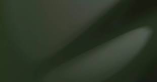 Image result for Arlo Green 2025 Porsche