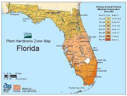 Florida Vegetable Planting Calendar Plant Hardiness Zone Map Planting Zones Plant Hardiness Zone