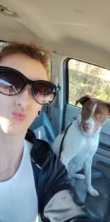 Should I spay my 6-month-old Yorkie?