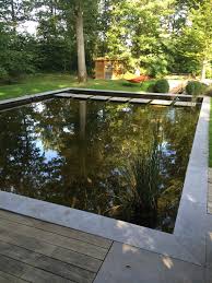 Bassin Realise Par L Entreprise Les Jardins De La Vallee Situee A Magny Les Hameaux Venez Visiter Leur Jardin Expo Sans Plu Jardins Faune Et Flore Aquatique