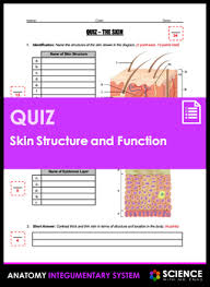 Quiz Skin Anatomy Structure And Function Hs Ls1 By Science With Mr Enns