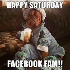 Saturday night is perfect for writers because other people have plans.saturday, you've always been my favorite! 112 Craziest Funny Saturday Memes With Images For Dump Day Tailpic
