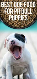 Proper feeding of your pitbull puppy. Best Dog Food For Pitbull Puppies The Healthiest Choices For Your Pup
