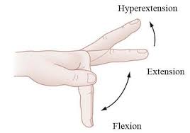 And might they be something serious? Flexion Extension Movements Of The Fingers Download Scientific Diagram