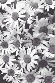 Pin On Flowers
