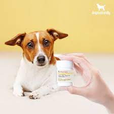 Don T Use Metronidazole For Dogs Use These Natural Solutions Instead Diarrhea In Dogs Natural Solutions Diy Dog Stuff