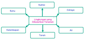 Di bojonegoro tanaman tembakau justru tumbuh subur. Pembelajaran 3 Tema 6 Subtema 1 Aku Dan Cita Citaku Mikirbae Com
