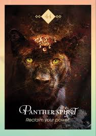 Panther Totem Spirit Animal Oracle Animal Spirit Guides Spirit Animal Animal Totems