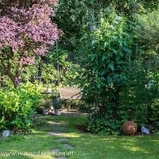 Endlich Sommer Im Blumengarten Blumengarten Garten Pflanzen