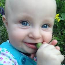 Singing Salamander Gardens