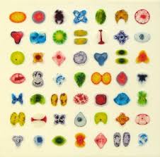 William Loveless Glue Paintings Glue Painting Cells Project Alternative Art