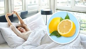 Here S What Will Happen If You Place A Piece Of Lemon Next To Your Bed In 2020 Better Sleep Bed Cosy House