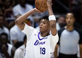 Image result for Baissea