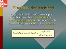 Es probable que las reglas de la interacción social en rusia sean diferentes a las de tu país. Capitulo 13 Elasticidad Ppt Video Online Descargar