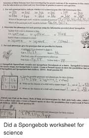 Practice punnett squares with spongebob & the gang. Scientists At Bikini Bottoms Have Been Investigating The Genetic Makeup Of The Organisms In This Comm Use The Information Provided And Your Knowledge Of Genetics To Answer Each Question 1 For Each