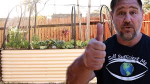 Birdies Raised Garden Beds Amazon How To Build A Raised Garden Bed Growing Food In Small Spaces S1 E1 Youtube