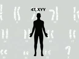 The Myth Of The Supermale And The Extra Y Chromosome Vox