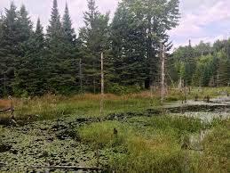 Nct In Wisconsin Beaver Dam In Porcupine Lake Wilderness North Country National Scenic Trail North Country Trail Scenic