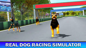 But before you grab a leash and head out the door, there ar. Pet Dog Run Simulator Greyhound Racing Game For Android Apk Download