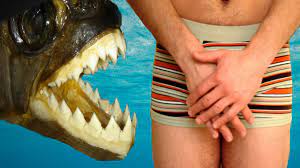 Testicle Eating Fish - Real or Fake? - YouTube