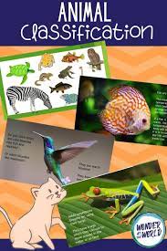 Grouping Animals Presentation For Google Slides Video Blended Learning Animal Classification Alphabet For Kids