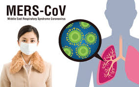 Hasil gambar untuk mers cov