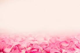 Pink Rose Petal Abstract Background Abstract Backgrounds Rose Petals Floral Border