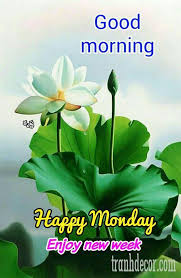 Maybe you would like to learn more about one of these? Good Morning Flowers For Android Apk Download