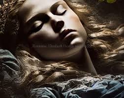 Fairytale Storybook Grimm's Sleeping Beauty Gallery Wall Illustrations