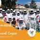 Commercial Bee Removal Course event image